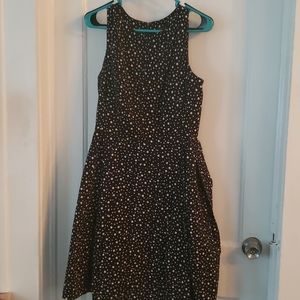 The Limited-Polka dot flaired dress